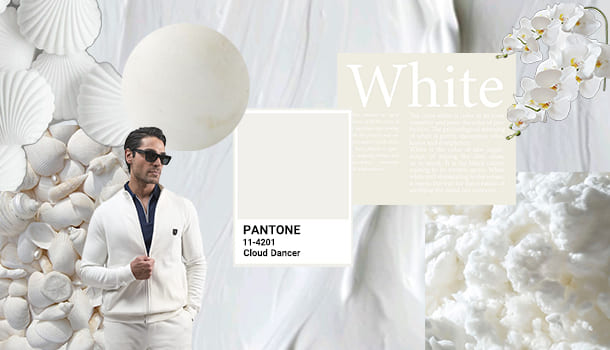 رنگ ترند 2026