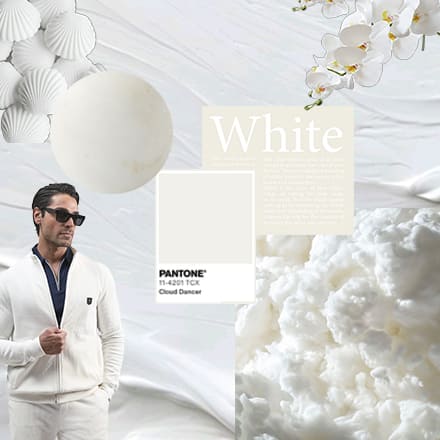 رنگ ترند 2026