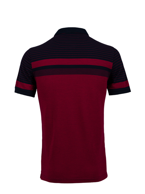 پولوشرت مردانه یقه شکاری 13139