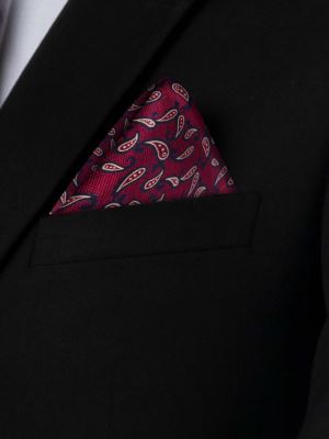 کراوات طرح بته جقه ای ریز